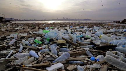 Des déchets sur une plage du nord de&nbsp;Beyrouth&nbsp;(Liban), le 28 novembre 2017.&nbsp; (JOSEPH EID / AFP)