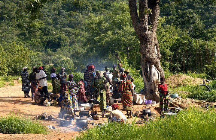 Cuisine : 10 épices à connaitre et leurs utilisations - Benin Web TV