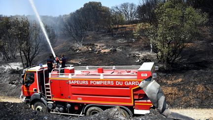 Des pompiers du Gard interviennent près de Saint-Gilles, le 29 juin 2019. (SYLVAIN THOMAS / AFP)