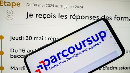 Les premiers résultats sur la plateforme Parcoursup tombent à partir du 30 mai 2024. (JEAN-MARC BARRERE / HANS LUCAS / AFP)