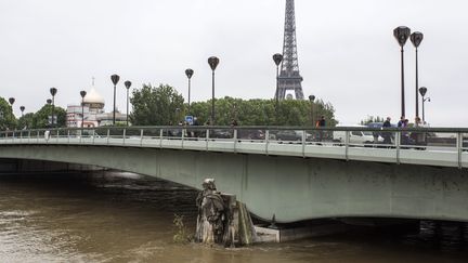 Le&nbsp;Zouave du pont de l'Alma, le 2 juin 2016.&nbsp; (GEOFFROY VAN DER HASSELT / AFP)