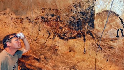 Un technicien lors de l&#039;installation de Lascaux 3
 (AFP)