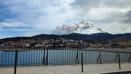 L'incendie du 16 avril 2023, vue de Banyuls-sur-Mer (ANNA BONNEMASOU-CARRERE / RADIO FRANCE)