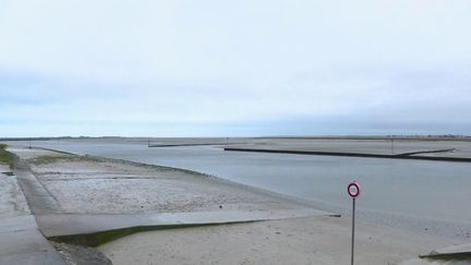 Trois kayakistes sont morts samedi 11 janvier après une sortie en baie de Somme. En direct du Crotoy (Somme), l'endroit où les corps ont été retrouvés, la journaliste Léa Broquerie fait le point sur la situation. (France 3)