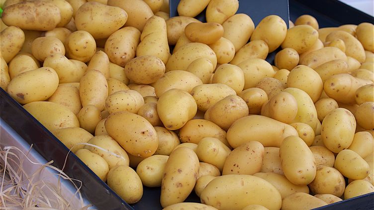 Santé : bien cuisinée, la pomme de terre ratatine les idées reçues