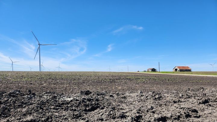 Des éoliennes au Texas (États-Unis), en mars 2023. (SEBASTIEN PAOUR / RADIOFRANCE)