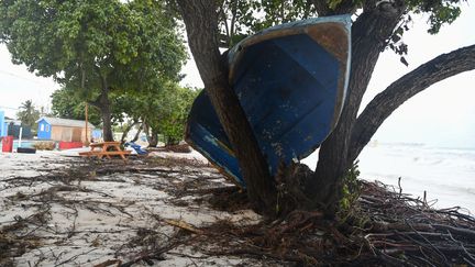 Un bateau coincé dans un arbre après avoir été emporté par l'ouragan Béryl à Oistins (La Barbade), le 1er juillet 2024. (RANDY BROOKS / AFP)