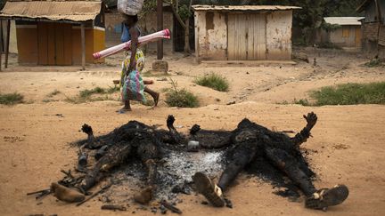 Une femme en fuite passe devant deux corps carbonis&eacute;s, victimes des derniers affrontements &agrave; Bangui (Centrafrique), le 28 janvier 2013 (SIEGFRIED MODOLA / REUTERS)