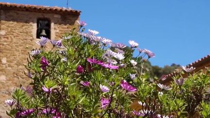 Patrimoine : plongée enchantée dans la commune fleurie de Bormes-les-Mimosas