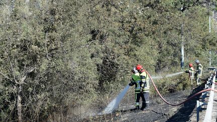 Des pompiers éteignent les dernières flammes&nbsp;d'un feu aux Pennes-Mirabeau (Bouches-du-Rhône), jeudi 11 août 2016. (BORIS HORVAT / AFP)