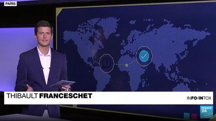 Info ou Intox s'intéresse à une vidéo qui prétend montrer l’ambassadeur de France sur place quitter son ambassade sous les huées. (France 24)