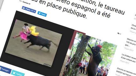 Le site de fausses informations Nordpresse.be affirme à tort qu'un taureau a été pendu en place publique après la mort d'un torero espagnol (Capture d'écran Nordpresse.be)