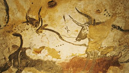 Des aurochs, des bovidés aujourd'hui disparus, peints sur les parois de la grotte de Lascaux, près de Montignac (Dordogne).&nbsp; (PATRICK SOMELET / AFP)