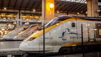 &nbsp; (Les Eurostar bloqués à quai comme tous les trains gare du Nord, en raison d'un incendie © MaxPPP)