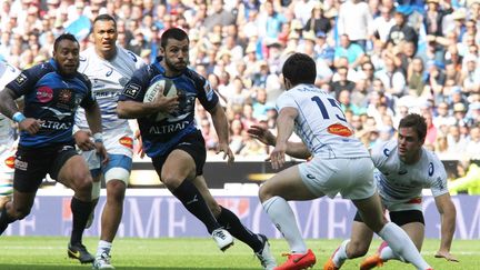 &nbsp; (En battant Montpellier, Castres a validé son ticket pour la finale du Top 14 © Maxppp)