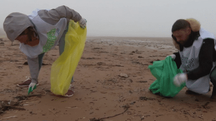 Pollution : aux Sables d'Olonne, des bénévoles débarrassent la plage de ses déchets plastiques (France 3)