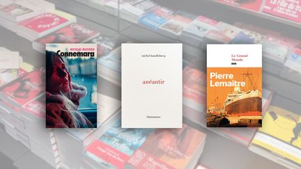 Couvertures de "Connemara" de Nicolas Mathieu (Actes Sud), "Anéantir" de Michel Houellebecq (Flammarion) et "Le grand monde" de Pierre Lemaitre (Calmann-Lévy)&nbsp; (RICCARDO MILANI / HANS LUCAS)