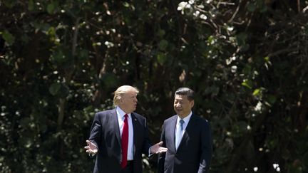 Le président américain Donald Trump et le président chinois Xi Jinping à Mar-a-Lago (Etats-Unis), le 7 avril 2017. (JIM WATSON / AFP)