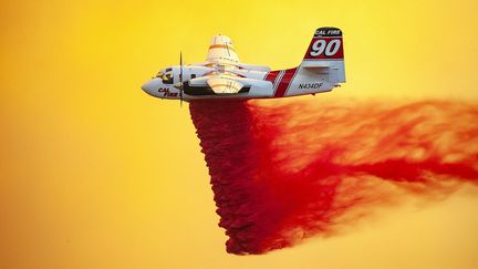 Un canadair largue du produit ignifuge pour retarder la progression de l'incendie Mendocino Complex en Californie, le 2 août 2018.&nbsp; (MARK MCKENNA / ZUMA / REA)