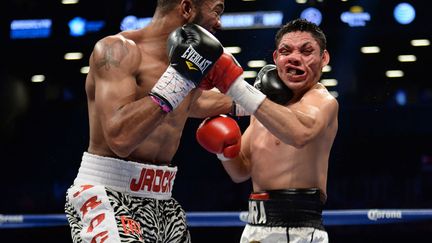 Combat de poids super-welters &agrave; New York (Etats-Unis) opposant&nbsp;Justin Williams (G) et&nbsp;Orlano Lora, le 7 d&eacute;cembre 2013. (USA TODAY SPORTS / REUTERS)