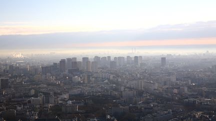 Vue de Paris et de son nuage de pollution, en mars 2012.&nbsp; (ERIC GUILLORET / BIOSPHOTO / AFP)