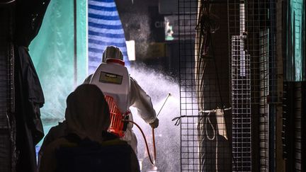 Des brigades désinfectent les allées du marché Chatuchak à Bangkok, le 23 mars 2020 (MLADEN ANTONOV / AFP)