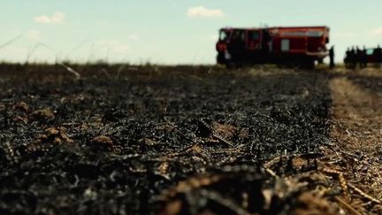 Sécheresse : les agriculteurs s'inquiètent de la multiplication des feux agricoles