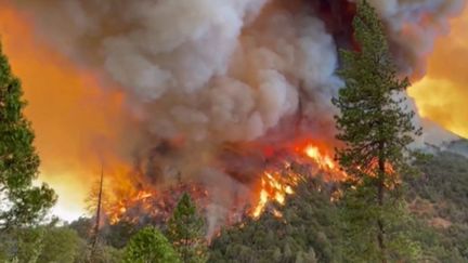 États-Unis : en Californie, un incendie a déjà détruit plus de 6 800 hectares de végétation