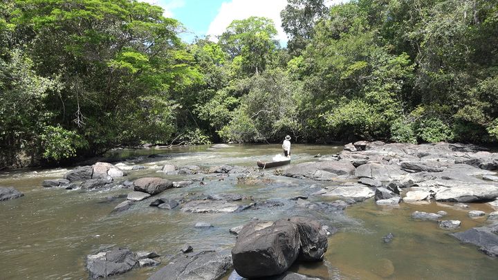 Les premiers jours sur la rivière Waki&nbsp;: les rapides sont nombreux, Eliott Schonfeld passe son temps les pieds dans l’eau, à tracter la pirogue. (Eliott Schonfeld aventurier)