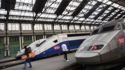 Le 31 mai 2013, C&eacute;line, une femme trans, a &eacute;t&eacute; verbalis&eacute;e dans un TGV Lyon-Paris car&nbsp;son patronyme ne corrrespondait pas &agrave; son apparence. (LOIC VENANCE / AFP)