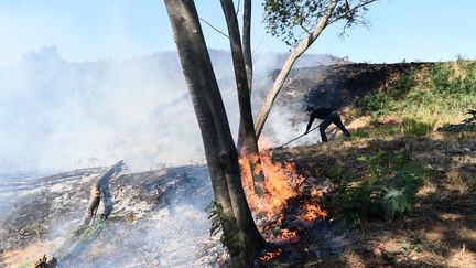 Un homme tente d'éteindre les flammes d'un feu de forêt à&nbsp;Bormes-les-Mimosas (Var), le 26 juillet 1017. (ANNE-CHRISTINE POUJOULAT / AFP)