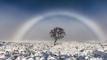 Un arc-en-ciel blanc photographié par&nbsp;Melvin Nicholson à Rannoch en Ecosse, le 20 novembre 2016. (NICHOLSON/SHUTTERSTOCK/SIPA / REX)