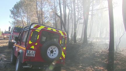 Un nouveau feu de forêt s’est déclaré lundi en Gironde (Capture écran France 3)