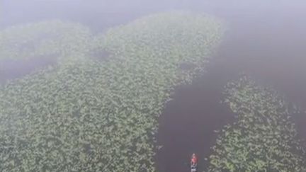 Découverte : le lac Léon, le havre de paix des Landes (FRANCE 3)