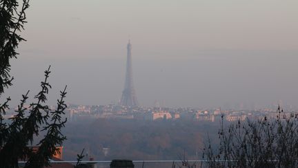 La ville de Paris, lors d'un pic de pollution, le 15 décembre 2016. (OLIVIER BOITET / MAXPPP)