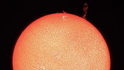 Surface du Soleil et éruption solaire vues le 15 août 2016 avec un filtre H-Alpha.&nbsp; (SEBASTIAN VOLTMER / NOVAPIX / LEEMAGE VIA AFP)