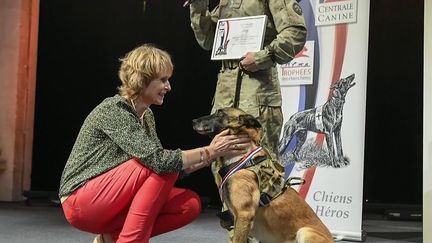 Armée : les chiens soldats, véritables héros (FRANCE 2)