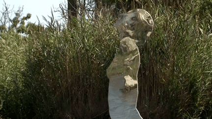 Sculpture d'acier de Rob Mulholland jonchent les bords du Rhône
 (France3 / Culturebox)