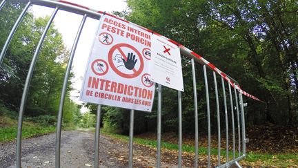 Des barrières ont été installées dans les bois, près de la fontière belge.&nbsp; (JEAN-LUC FLEMAL / BELGA)