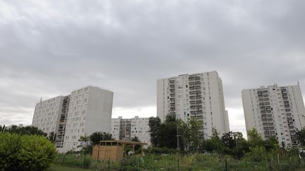 Le quartier des Beaudottes à Sevran (Seine-Saint-Denis), photographié le 16 juillet 2010, est l'un des lieux récurrents du livre. (MIGUEL MEDINA / AFP)