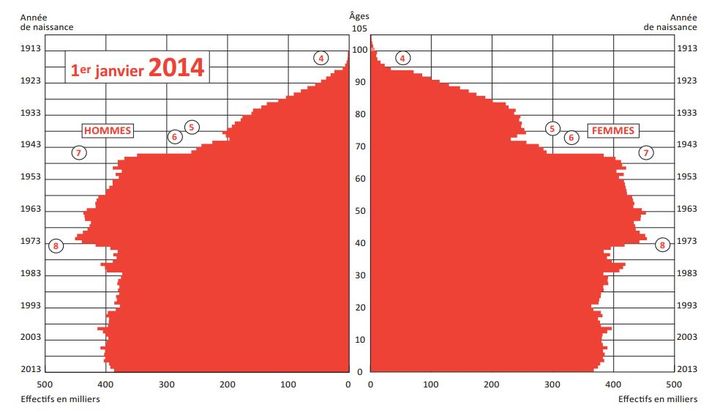 La pyramide des &acirc;ges de la France, dat&eacute;e du 1er janvier 2014, pr&eacute;sente une base verticale. (INED)