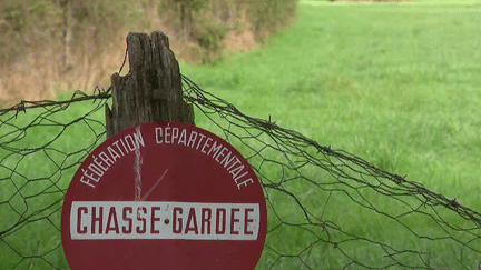 Loire : un chasseur tué lors d'une battue aux sangliers