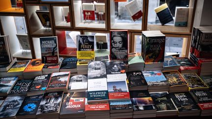 Livres exposés dans une librairie de Perpignan, le 8 septembre 2023 (ARNAUD LE VU / HANS LUCAS / AFP)