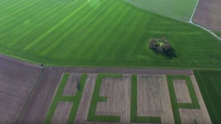 Capture écran Youtube de la vidéo "Help, le message d'un agriculteur d'Athée-sur-Cher" de Vincent Louault, le 13 avril 2017. (VINCENT LOUAULT)