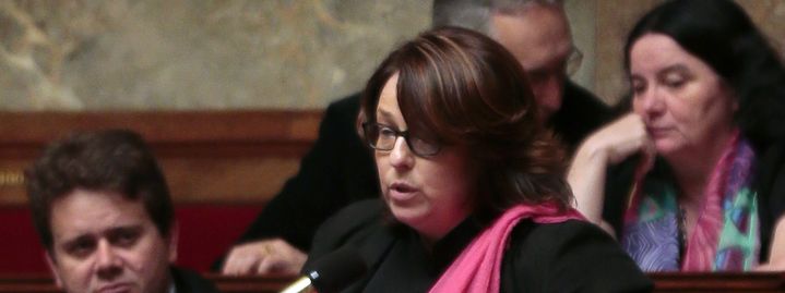 La députée de Loire-Atlantique Sophie Errante lors des questions au gouvernement, le 9 juillet 2014, à l'Assemblée nationale, à Paris. (JACQUES DEMARTHON / AFP)