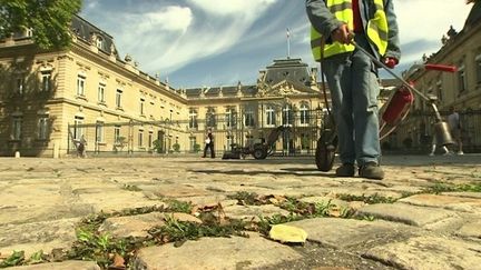 Le glyphosate est notamment présent dans l'herbicide Roundup, commercialisé par Monsanto