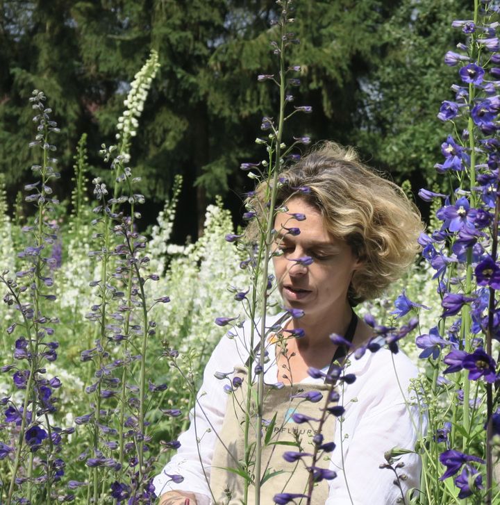 Hélène Taquet, au beau milieu de ses delphiniums, dans sa ferme florale Popfleurs.&nbsp; (ISABELLE MORAND / CFF / RADIO FRANCE / FRANCE INFO)