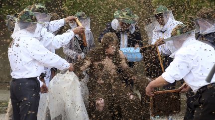Gao Bingguo recouvert d'abeilles, lors d'une pr&eacute;c&eacute;dente tentative &agrave; Taian, dans la province chinoise du Shandong, le 27 mai 2014.&nbsp; ( REUTERS)