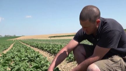 Climat : des restrictions d'eau dans l’Ain en raison de la sécheresse