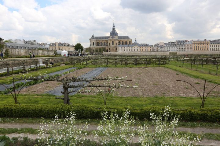 Le potager du roi (OLIVIER BOITET / MAXPPP)